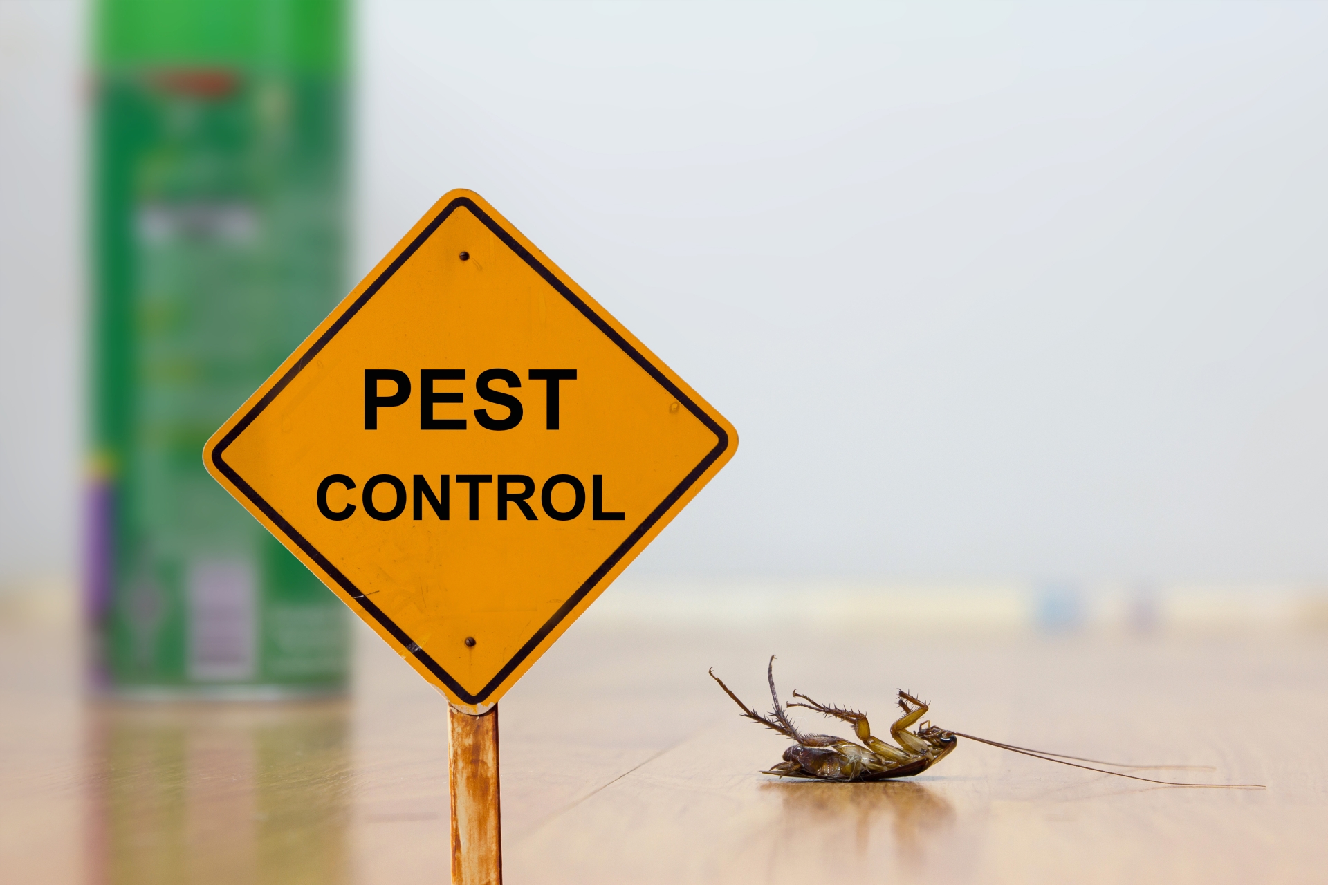 24 Hour Pest Control, Pest Control in Harefield, Denham, UB9. Call Now 020 8166 9746
