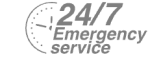 24/7 Emergency Service Pest Control in Harefield, Denham, UB9. Call Now! 020 8166 9746